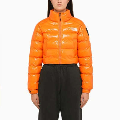 The North Face Shiny Tangerine Cropped Down Jacket In Orange | ModeSens