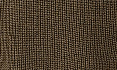 Shop Eileen Fisher Merino Wool Crop Turtleneck Sweater In Serpentine