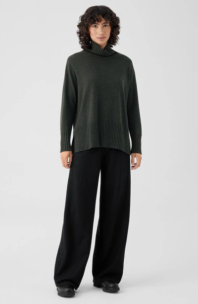Shop Eileen Fisher Wool Turtleneck Sweater In Ivy