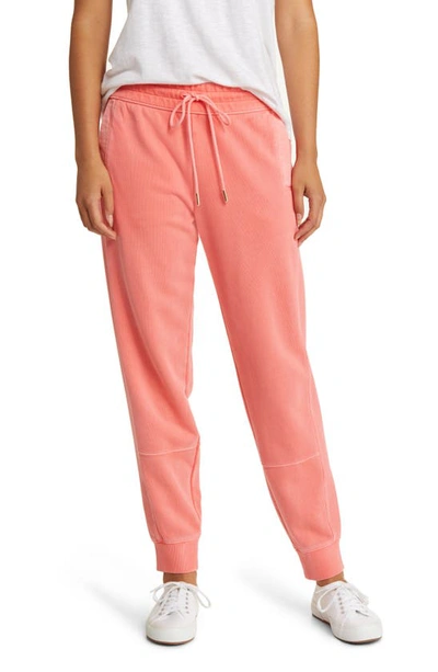Shop Tommy Bahama Sunray Cove Cotton Hybrid Joggers In Pure Coral