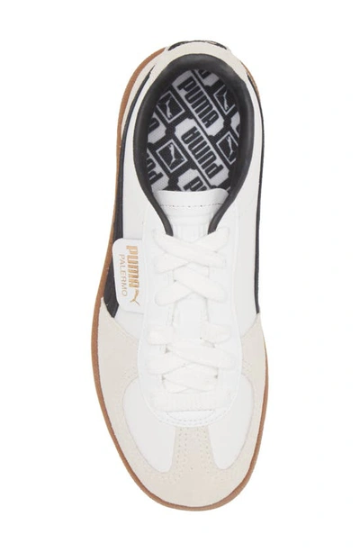 Shop Puma Palermo Leather Sneaker In  White-vapor Gray-gum