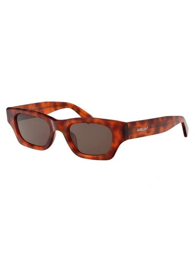 Shop Ambush Sunglasses In 6460 Brown