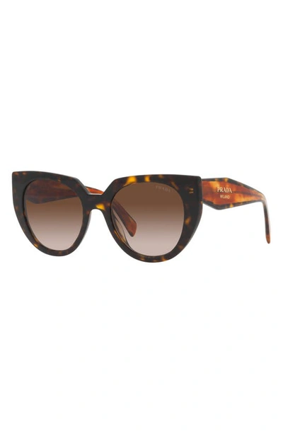 Shop Prada 52mm Cat Eye Sunglasses In Tortoise