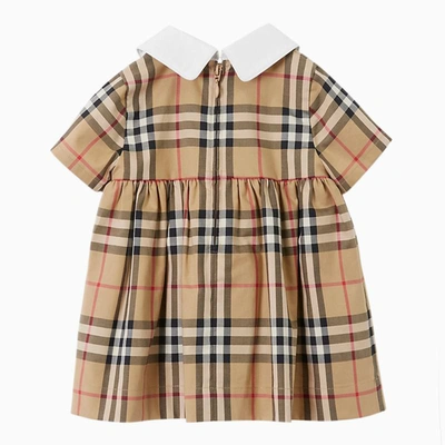 Shop Burberry Dress With Collar In Beige