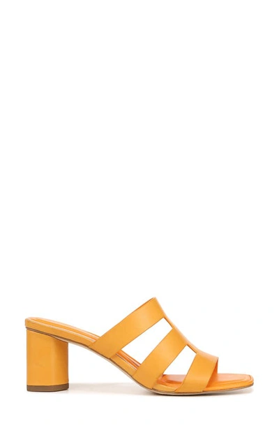 Shop Sarto By Franco Sarto Flexa Carly Slide Sandal In Orange