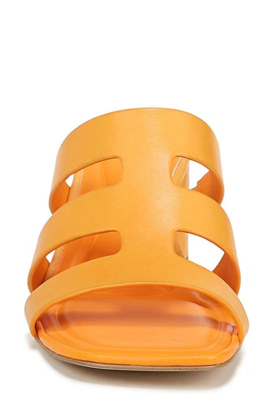 Shop Sarto By Franco Sarto Flexa Carly Slide Sandal In Orange