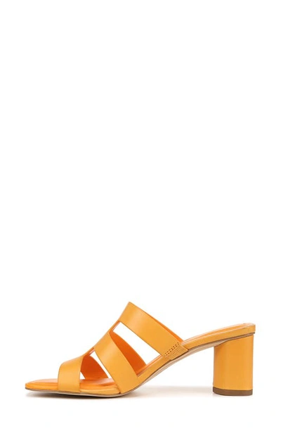 Shop Sarto By Franco Sarto Flexa Carly Slide Sandal In Orange