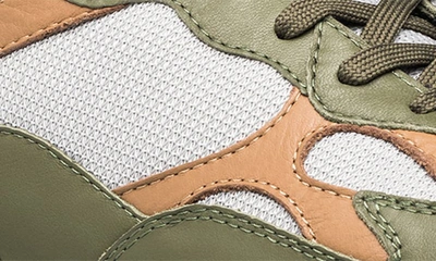 Clae Zuma Sneaker In Olive Leather Camel Walrus