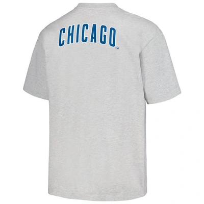 Shop Pleasures Gray Chicago Cubs Mascot T-shirt