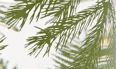 Thymes Frasier Fir Petite Reed Diffuser In Green Pine Needle