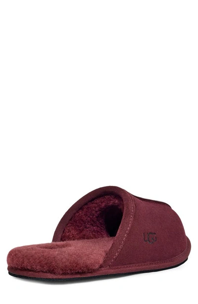 Ugg Men's Scuff Shearling Mule Slipper In Wild Grape