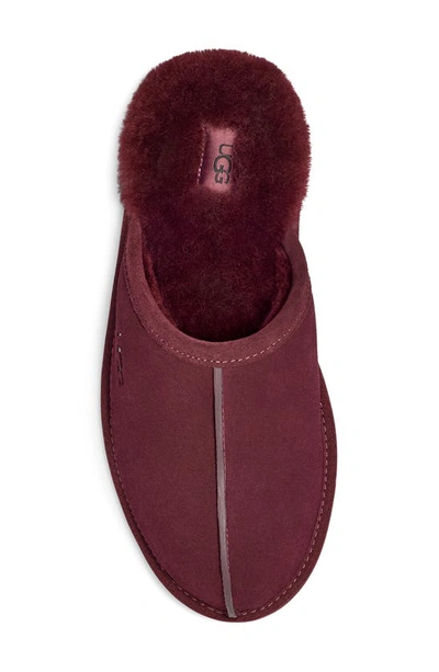 Ugg Men's Scuff Shearling Mule Slipper In Wild Grape