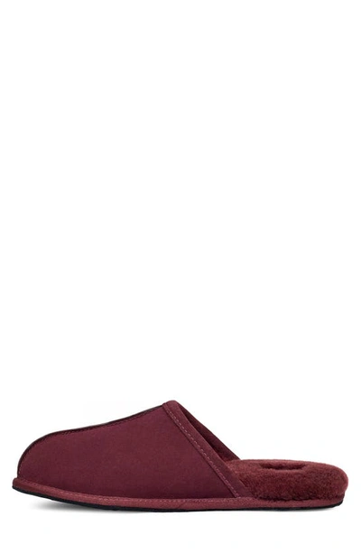 Ugg Men's Scuff Shearling Mule Slipper In Wild Grape