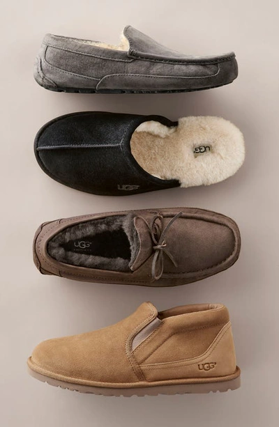 Shop Ugg Scuff Slipper In Deep Ocean