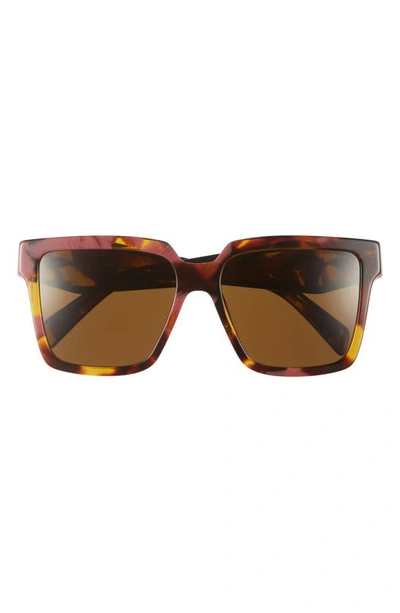 Shop Prada 56mm Square Sunglasses In Brown