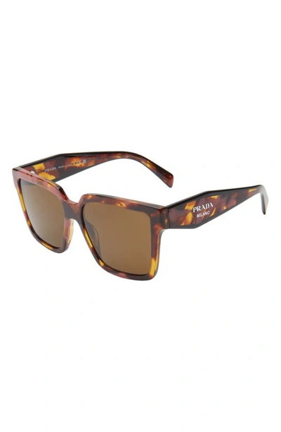 Shop Prada 56mm Square Sunglasses In Brown