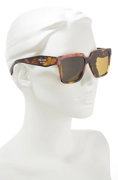 Shop Prada 56mm Square Sunglasses In Brown