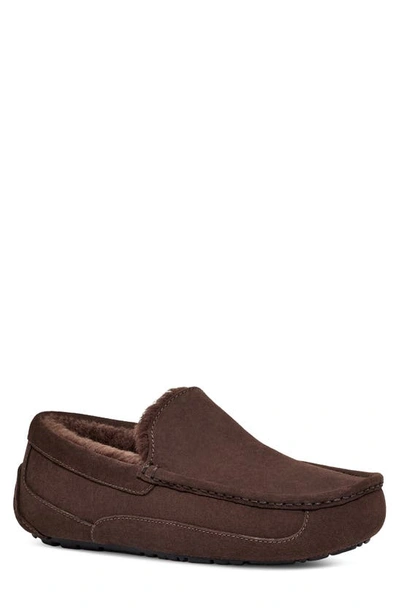 Ugg Ascot Slippers In Dusted Cocoa