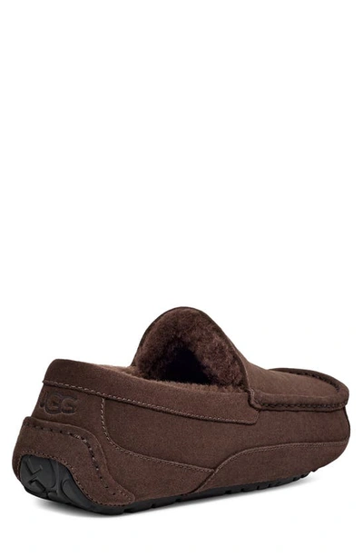 Shop Ugg Ascot Slipper In Dusted Cocoa