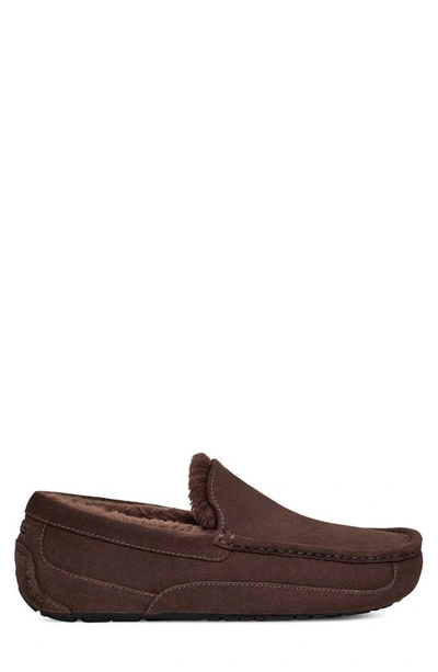 Shop Ugg Ascot Slipper In Dusted Cocoa