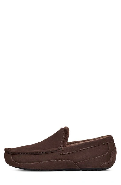 Shop Ugg Ascot Slipper In Dusted Cocoa