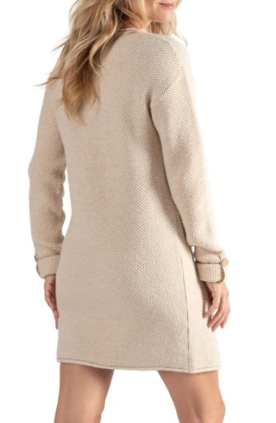Shop Cache Coeur Honey Long Sleeve Maternity/nursing Sweater Dress In Beige