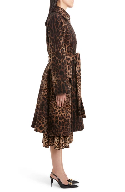Shop Dolce & Gabbana Dégradé Leopard Print Wool Blend Coat In Light Brown Print