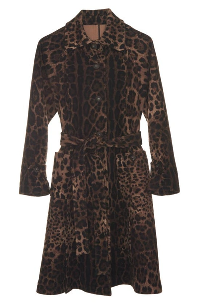 Shop Dolce & Gabbana Dégradé Leopard Print Wool Blend Coat In Light Brown Print