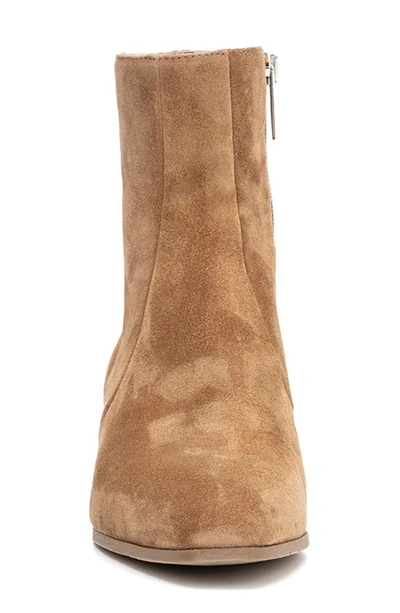 Shop Aquatalia Fosca Ankle Bootie In Whiskey