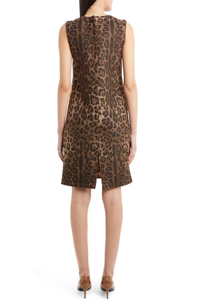 Shop Dolce & Gabbana Dégradé Leopard Print Wool Blend Shift Dress In Print Leo