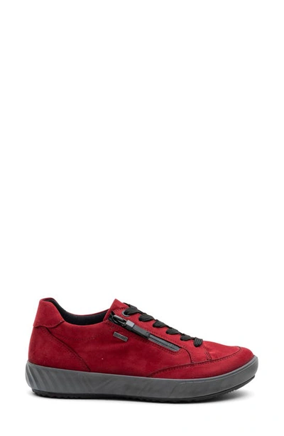 Shop Ara Allesandra Waterproof Sneaker In Rubin