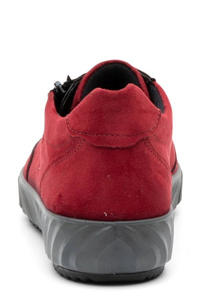 Ara Allesandra Waterproof Sneaker In Rubin