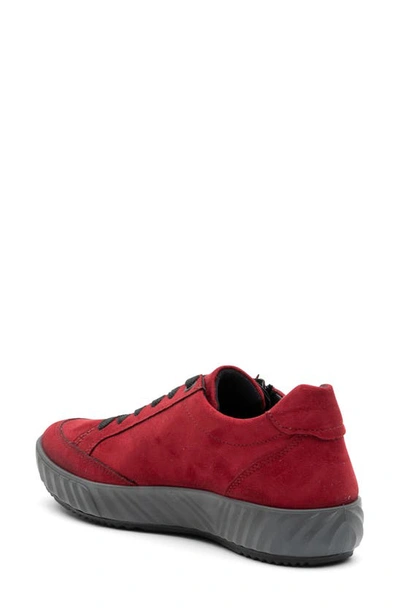 Ara Allesandra Waterproof Sneaker In Rubin