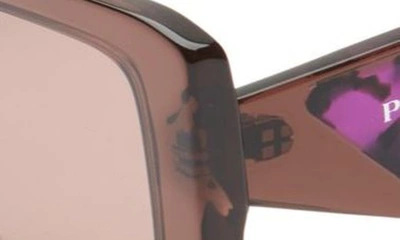 Shop Prada 51mm Square Sunglasses In Light Brown