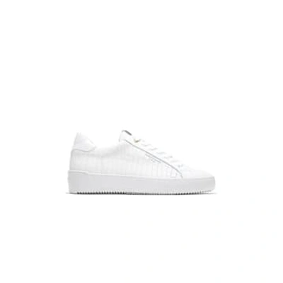 Shop Android Homme Zuma White Caiman Croc Sneaker