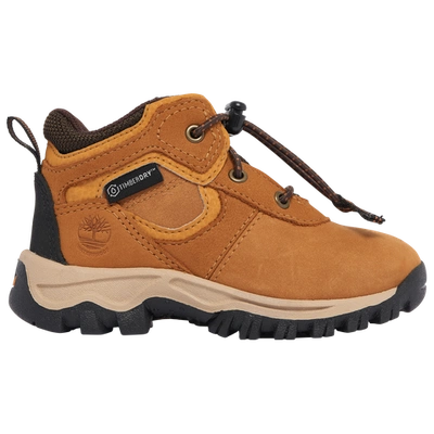 Shop Timberland Boys  Mt. Maddsen Mid In Black/wheat