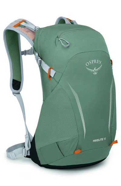 Shop Osprey Hikelite 18l Hiking Backpack In Pine Leaf Green