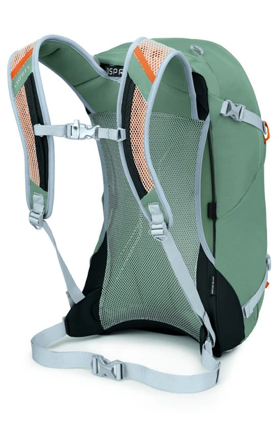 Osprey Hikelite 26l Water Repellent Backpack In Pine Leaf Green
