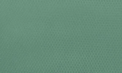 Osprey Hikelite 26l Water Repellent Backpack In Pine Leaf Green