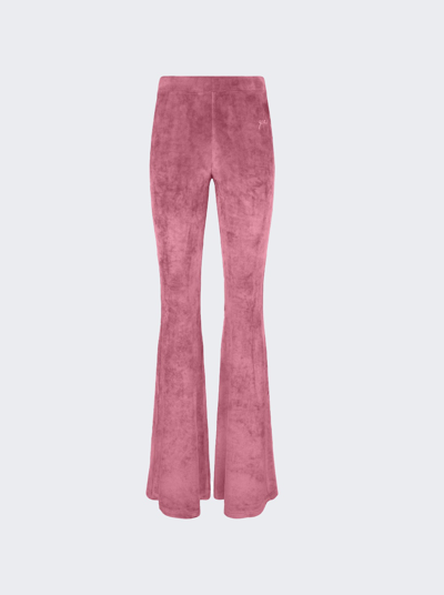 Shop Gcds Velvet Trousers In Pink