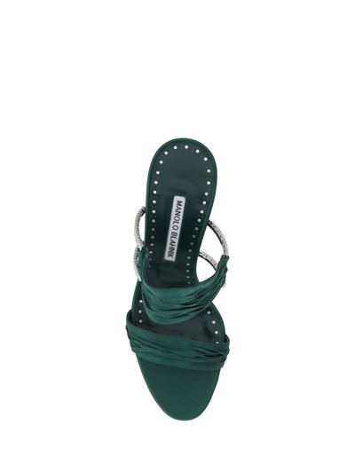 Shop Manolo Blahnik Chinap Rone Sandals In Dgrn
