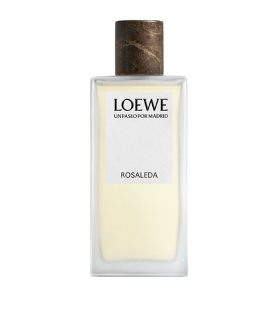 Shop Loewe Rosaleda Eau De Parfum (100ml) In Multi