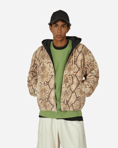 Stussy Canvas Insulated Work Jacket Python In Green | ModeSens