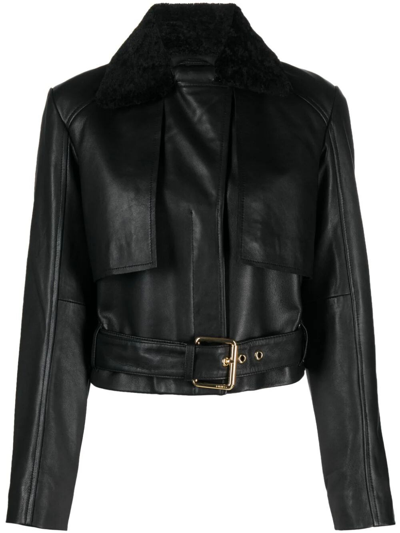 Shop Pinko `geppetto` Leather Jacket In Black  