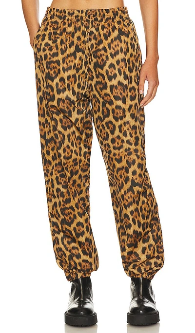 Shop Alexander Wang Leopard Track Pant With Stacked Wang Puff Logo In Orange