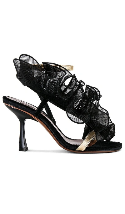 Shop Zimmermann Loie Sandals In Black