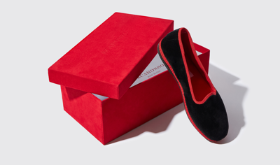 Scarosso Select Edit -  Slippers Black In Black - Velvet