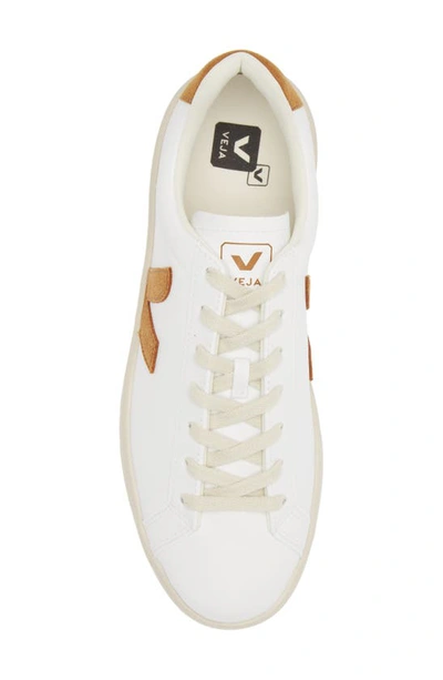 Shop Veja Urca Sneaker In White Camel