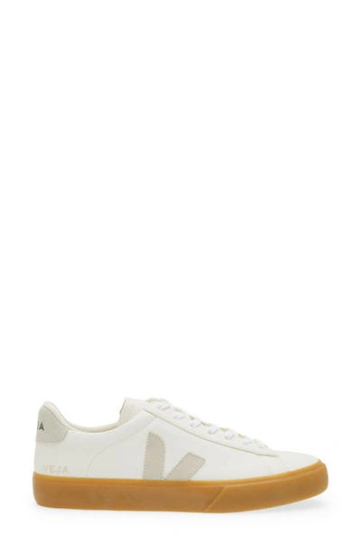 Shop Veja Gender Inclusive Campo Sneaker In Extra-white Natural Natural