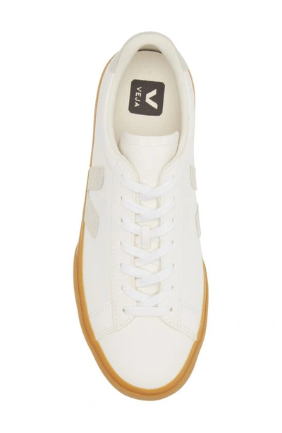 Shop Veja Gender Inclusive Campo Sneaker In Extra-white Natural Natural